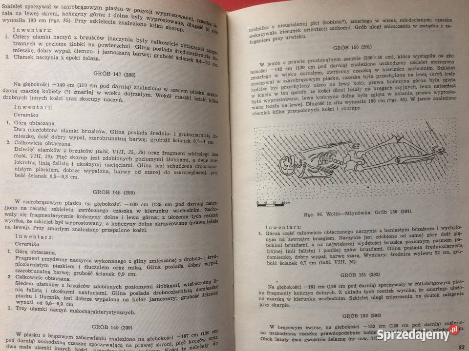 3258 Cmentarzysko WczesnośredMłynówka W Wolinie zachodniopomorskie Szczecin