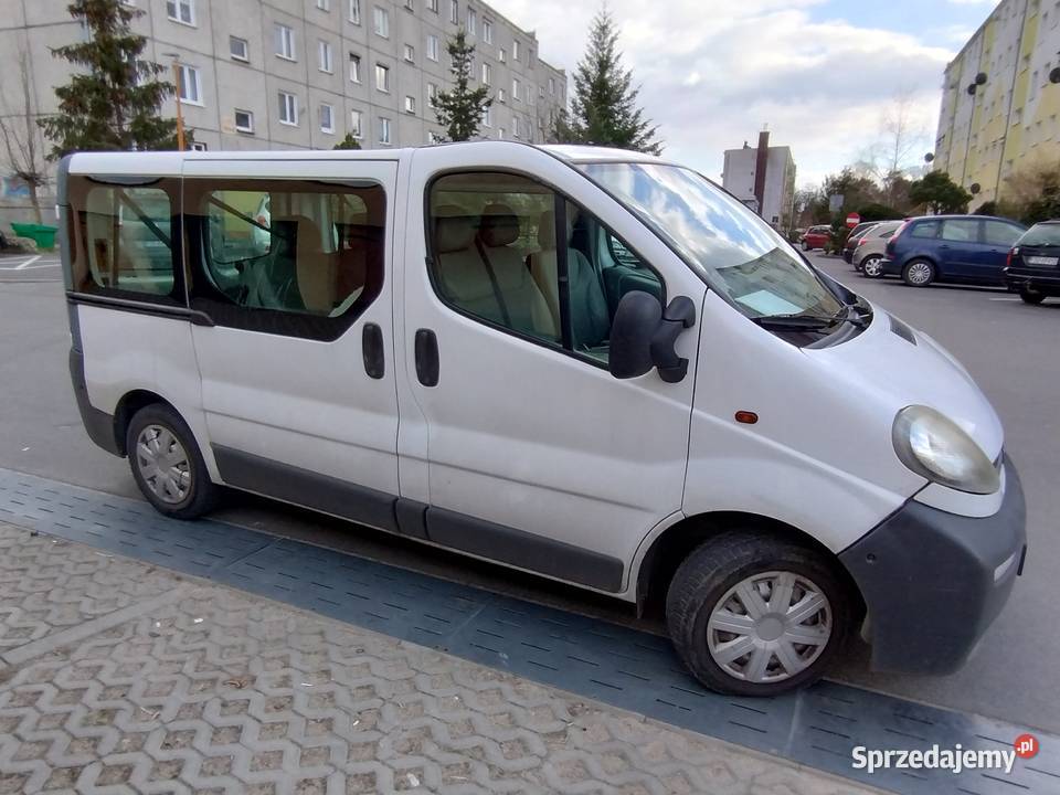 Opel Vivaro 2005 19 Drezdenko