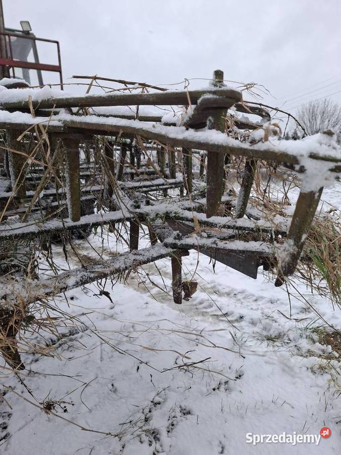 Brany nieuszkodzony Pasterzowice