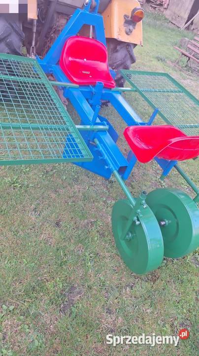 Sadzarka do porzeczki malin