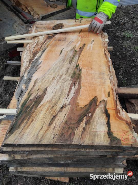 Monolit 124x80x10 wiąz dąb buk jesion stolik Przysucha