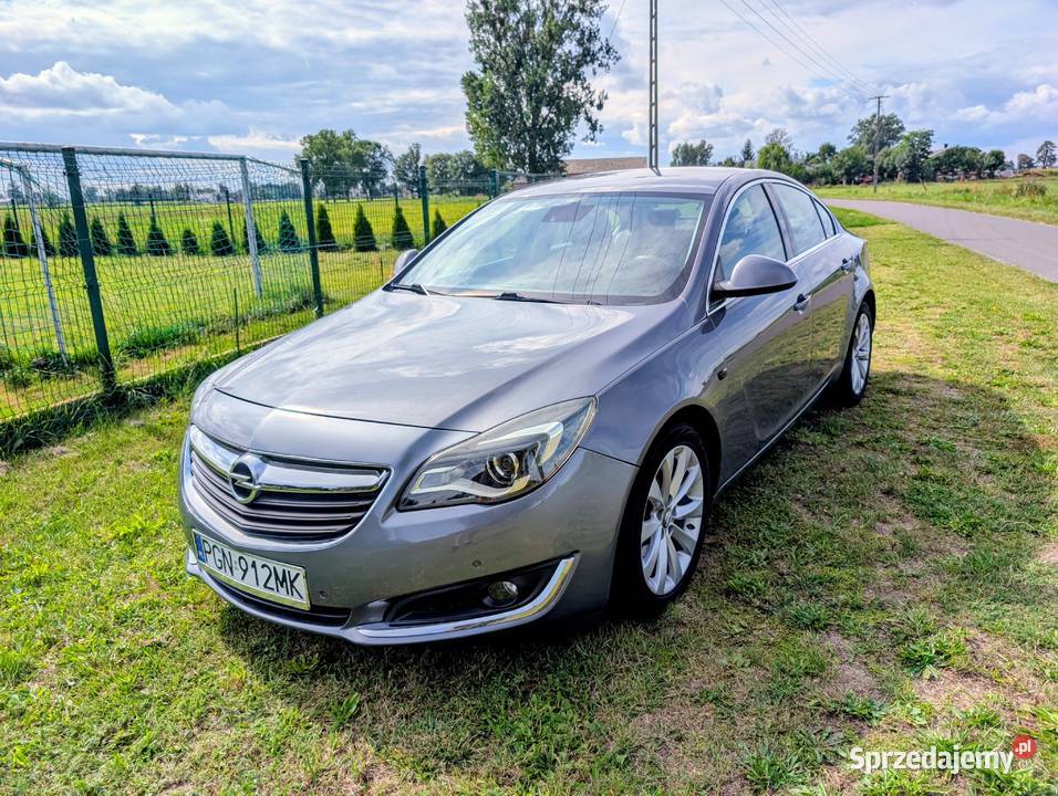 Opel Insignia 20 CDTI 170 Witkowo