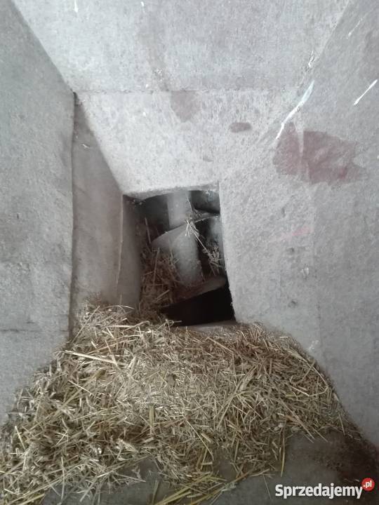 Żmijka do zboża nieuszkodzony