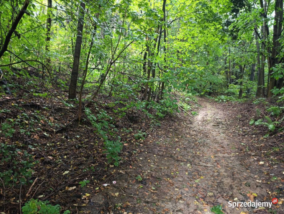 Nieruchomość gruntowa z zabudową Wierzchowiska Wierzchowiska Pierwsze