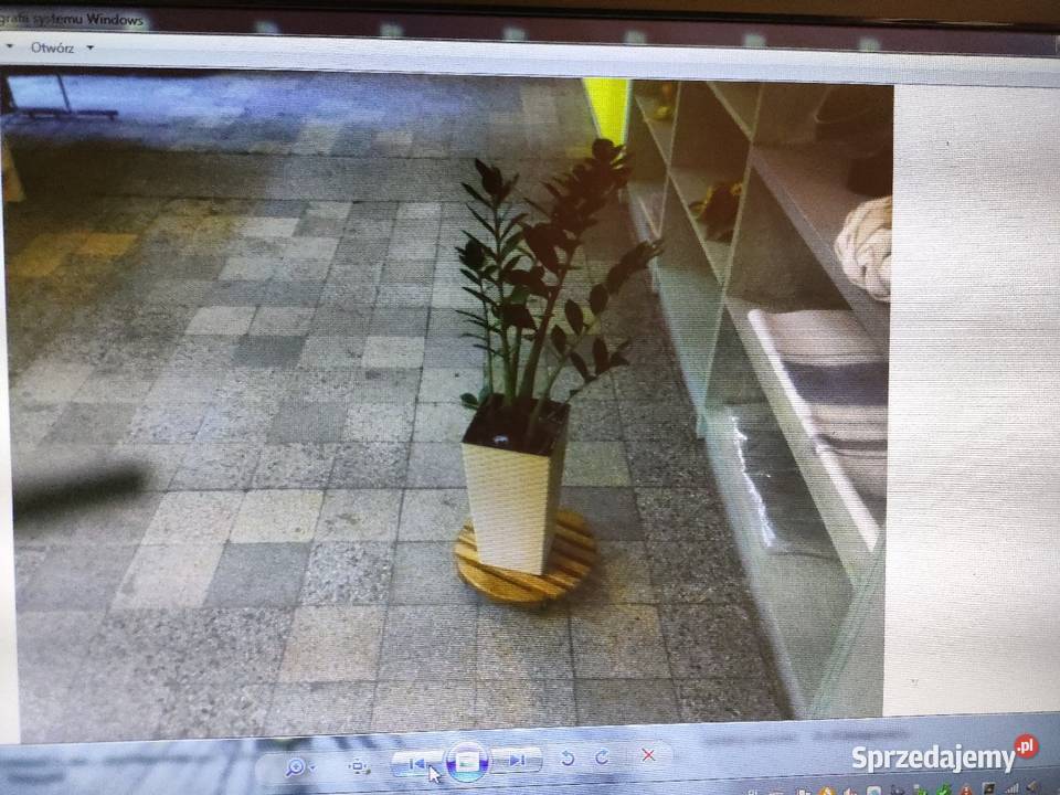 Dębowe podstawkikwietniki itp sprzedam