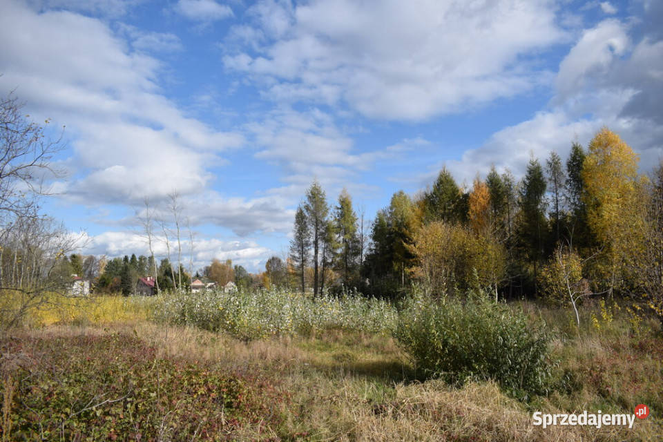 Działka 1937a Rzeszów rolna