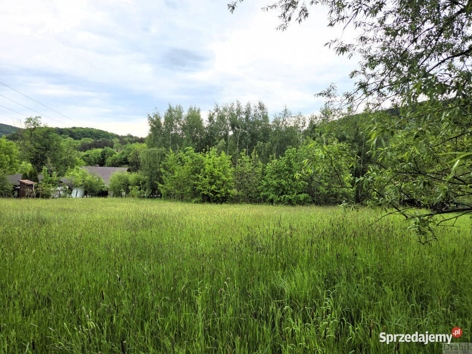 Działkę sprzedam 2385m2 Gorzeń Dolny Dworkowa budowlana sprzedam