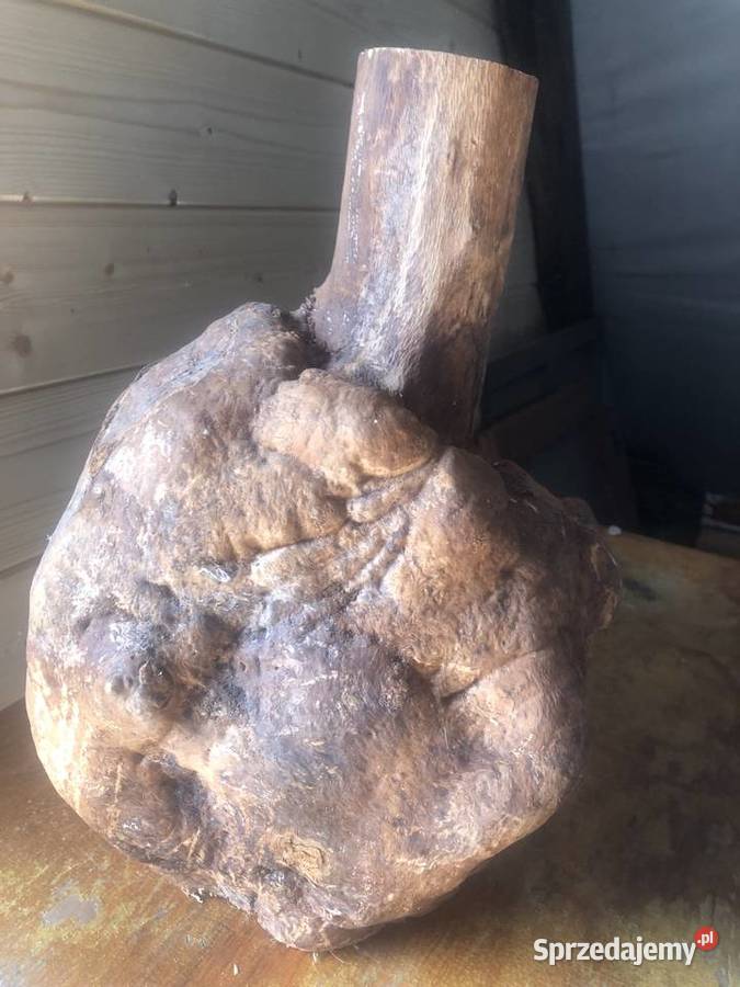 Sztuka użytkowa drewno Ciepielów