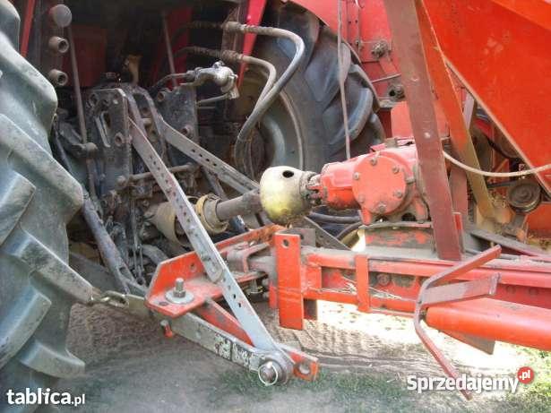 bizon zo20 Strzyże sprzedam