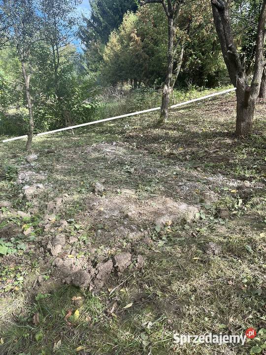 Działka ROD Bratek Dąbrowica 380m2 Ogródek