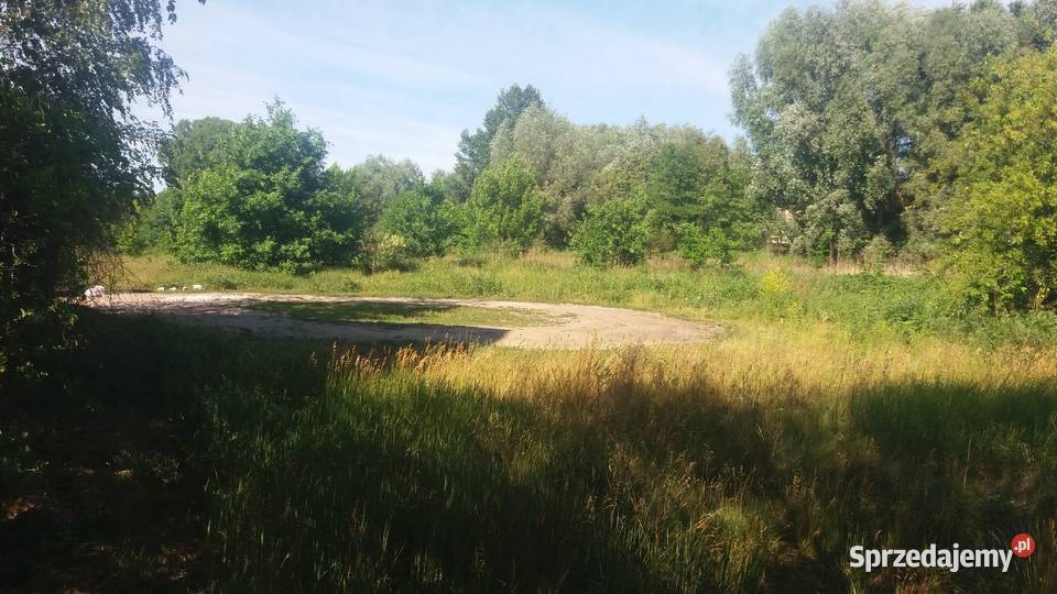 Sprzedam bezpośrednio mazowieckie Warszawa