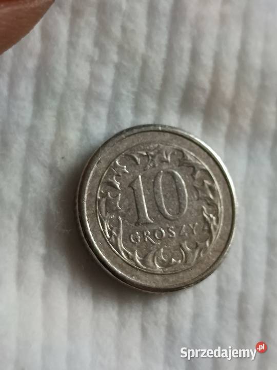 Sprzedam 10 gr 1993 r Chełm