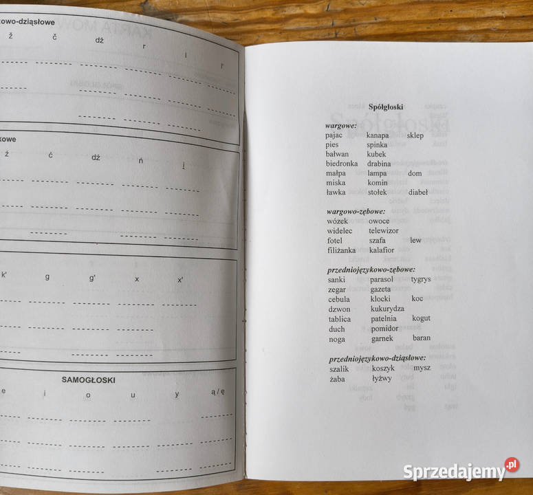 Kwestionariusz badania mowy Billewicz Zioło Sosnowiec sprzedam