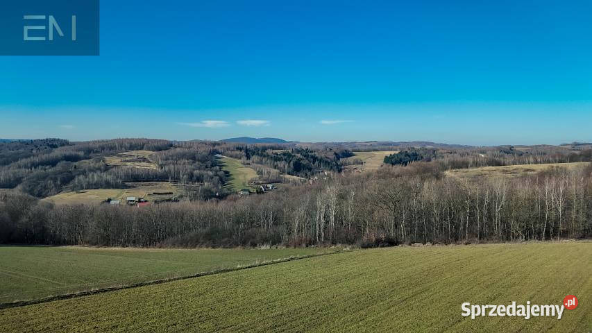 Działka Niewodna 5600m2 120m