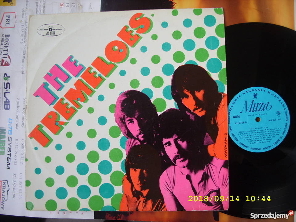 THE TREMOLES LP winyl Wołów sprzedam