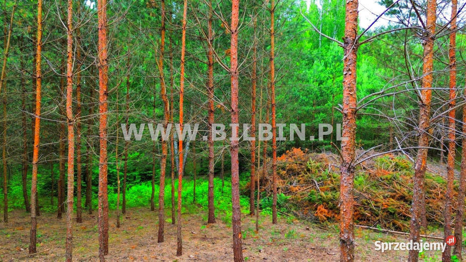 Działka Gawiniańce 3199m2 39zł/m2