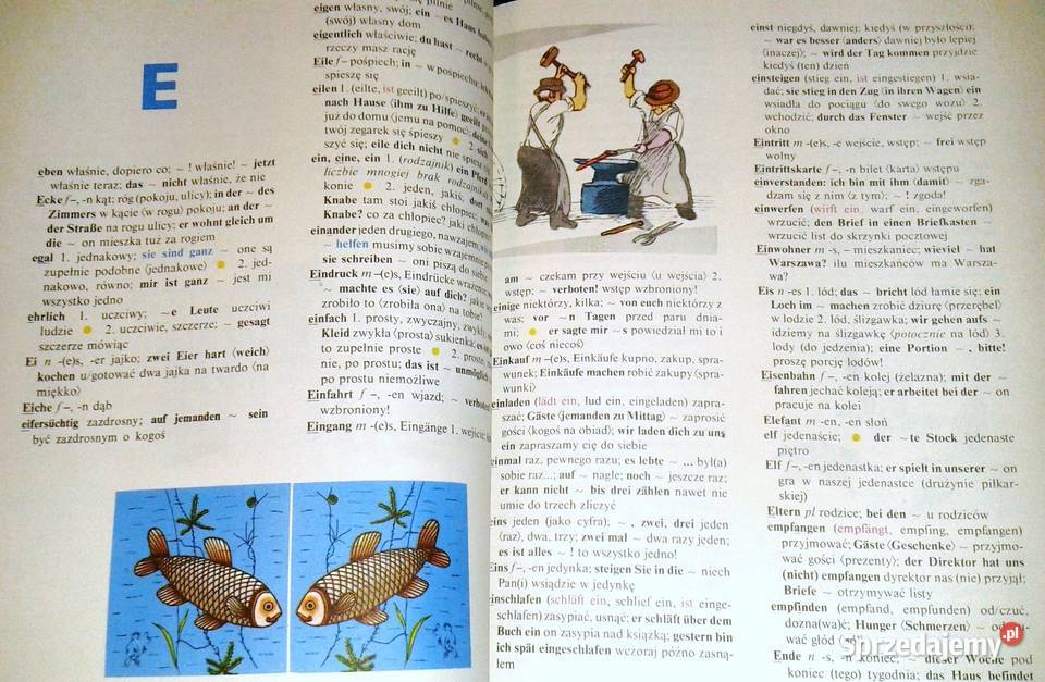 Ilustrowany słownik dzieci niemieckopolski Chełm sprzedam