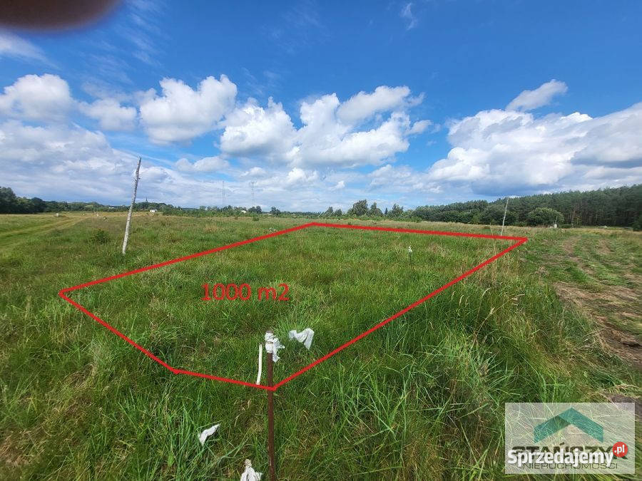 sprzedaży gruntu Kołczewo 1000m2