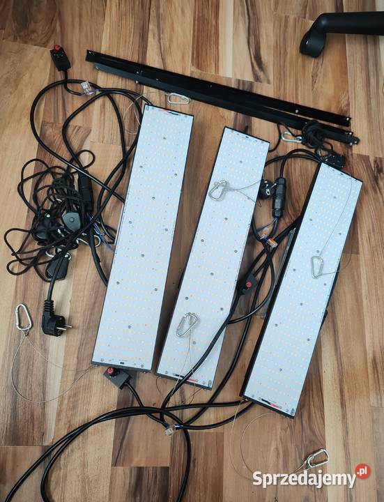 Lampa do uprawy roślin Lampy wiszące zachodniopomorskie Barlinek