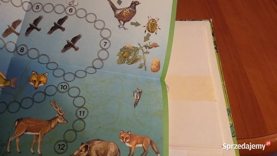 Gry dydaktyczne w nauczaniu biologii w szkole Gdańsk