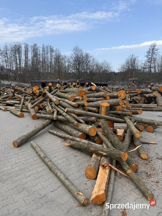Drewno liściaste w wałkach 15 m Kórnik