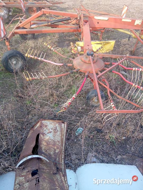 niemeyer podlaskie Puńsk