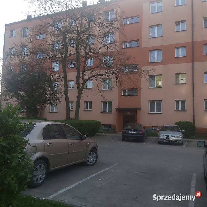 Wynajmę mieszkanie Jasło sprzedam