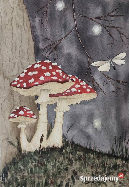 Akwarela Akwarelka Obraz pt Muchomorki Malarstwo Osobnica