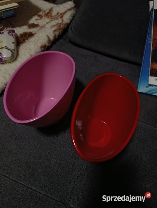 osłonki do storczyków Poznań