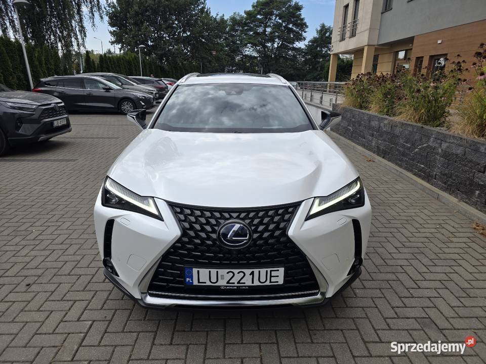 Lexus UX 250H Omotenashi Mark Levinson Już Lublin