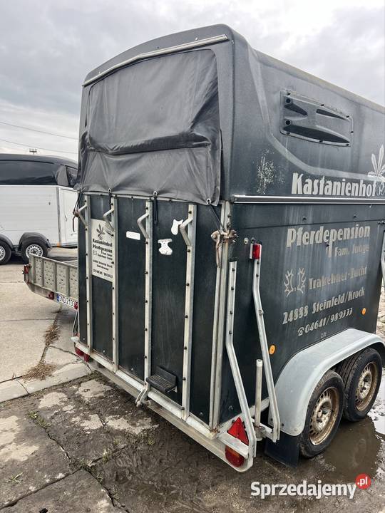 Przyczepa do koni marquard Solnica