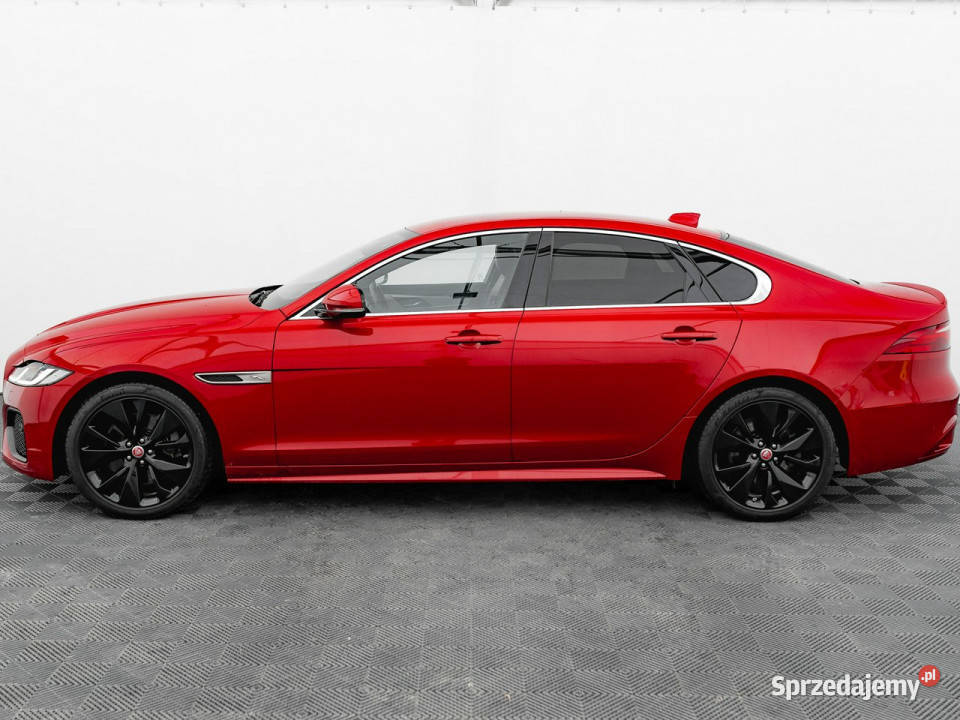 Jaguar XF WD1193T20 P250 RDynamic SE Skóra Tryby przyciemniane szyby pomorskie Gdańsk