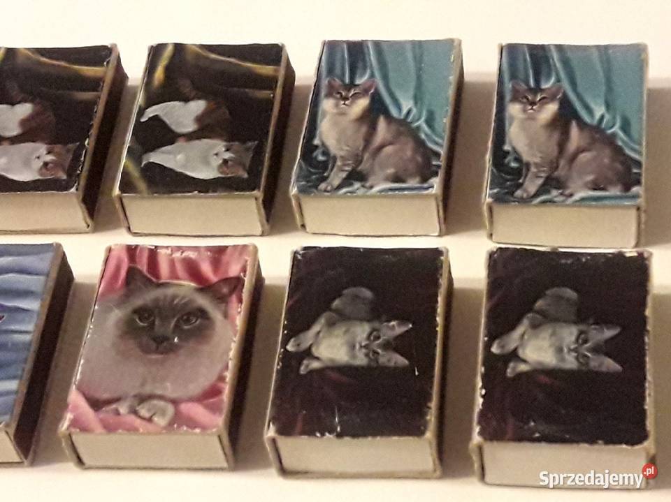 Zapałki pudełka koty i dziewczyny dwustronne PRL Antyki łódzkie Piotrków Trybunalski