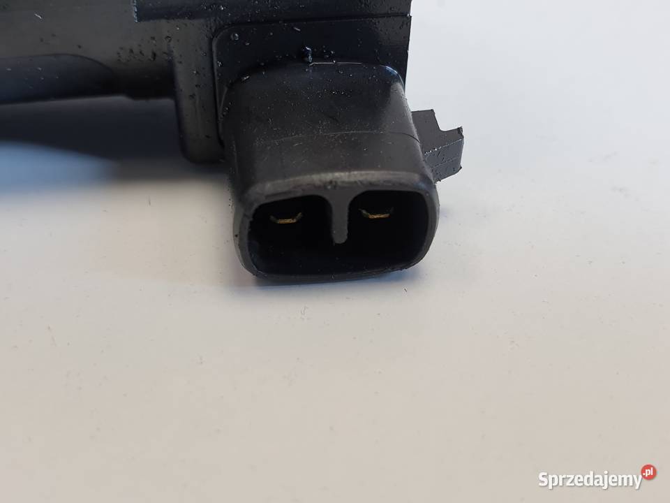 CEWKA ZAPŁONOWA Renault Scenic II 14 16V Rudka