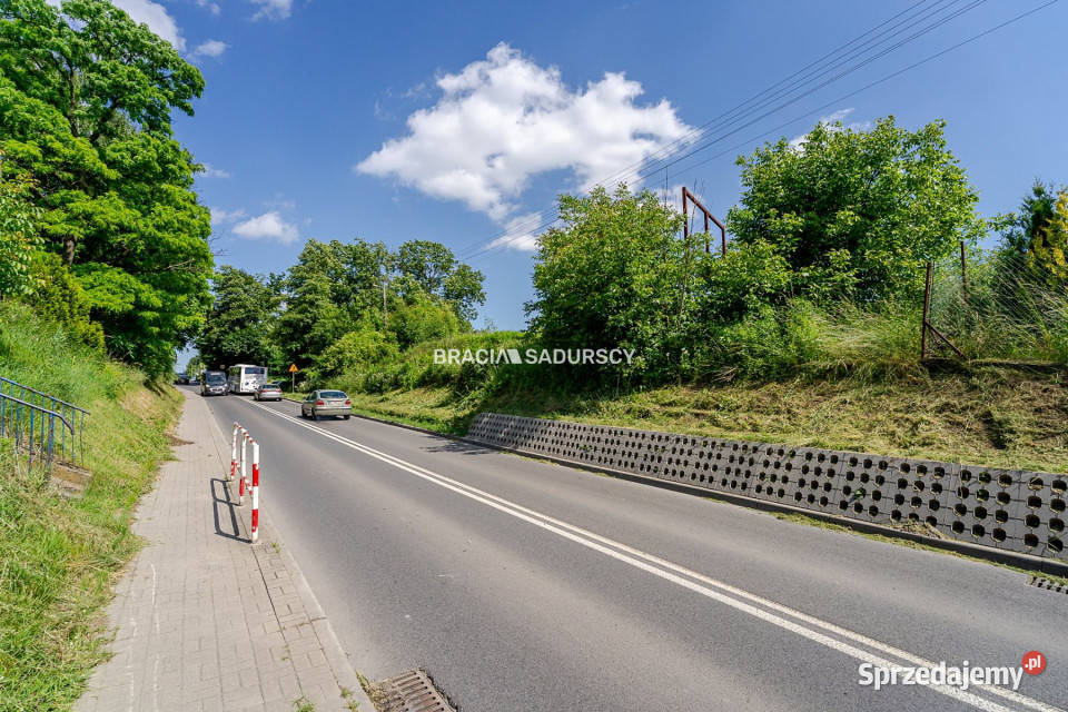 Działka Aleksandrowice 4600m2 130m Sprzedaż