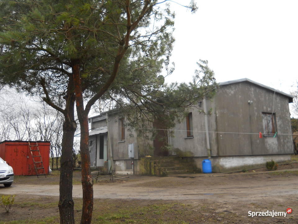 dom z działką pod Mławą mazowieckie Trzcianka-Kolonia