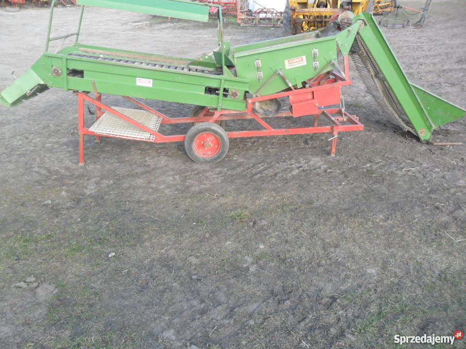 sortownik do ziemniaków cebulu remprodex kujawsko-pomorskie Brodnica