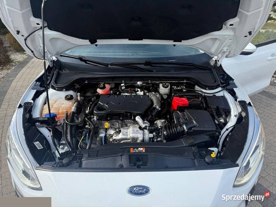 Ford Focus 15 EcoBlue StartStoppSystem ACTIVE manualna Krotoszyn