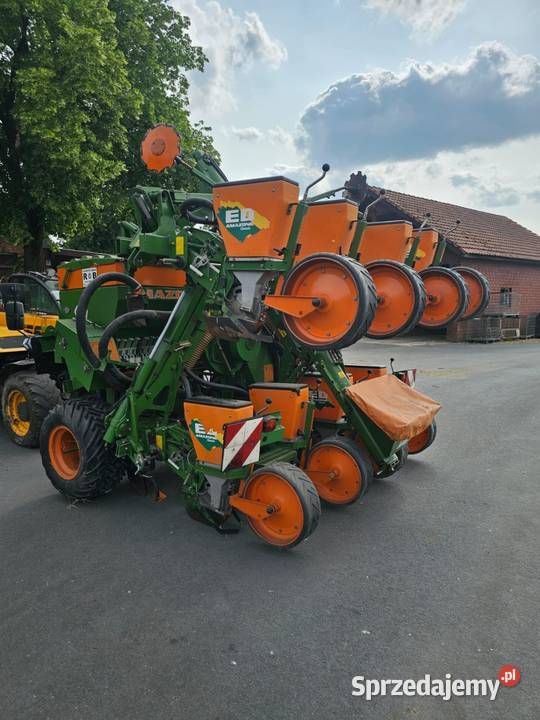 Siewnik do kukurydzy Amazone ED 601 K import Maków
