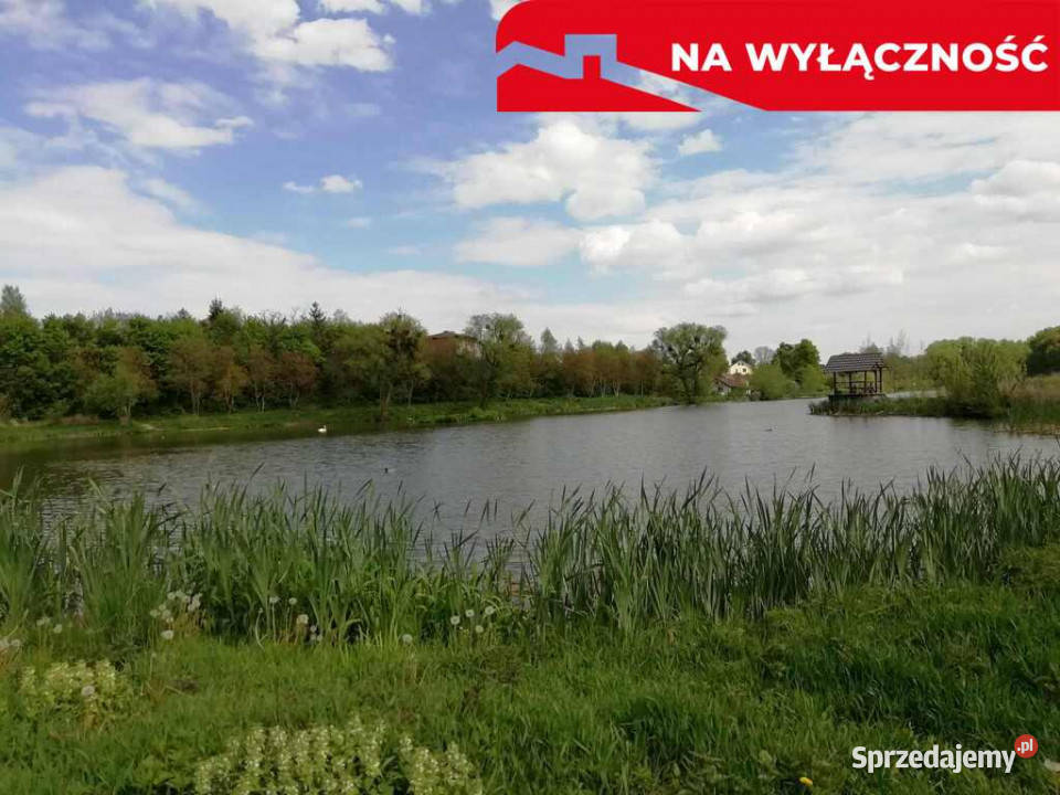 Działka o pow 46 ha w Klementowicach gm Kurów Klementowice