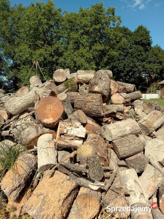 Sprzedam drzewo drewno opałowe z dowozem Dom i Ogród mazowieckie Maków Mazowiecki