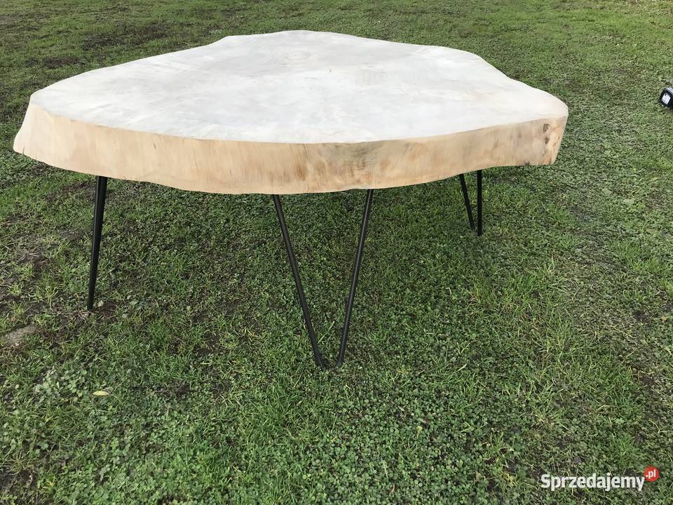 Stół z pnia drzewa monolit XLL duży Szczecin