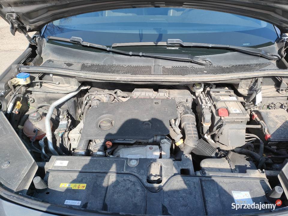 DS7 Performed Line 15 bluehdi 130