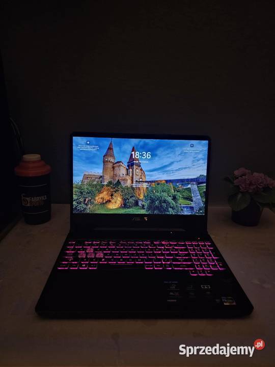 Asus TUF Gaming Ryzen 5 120Hz GTX1650 4GB16GB
