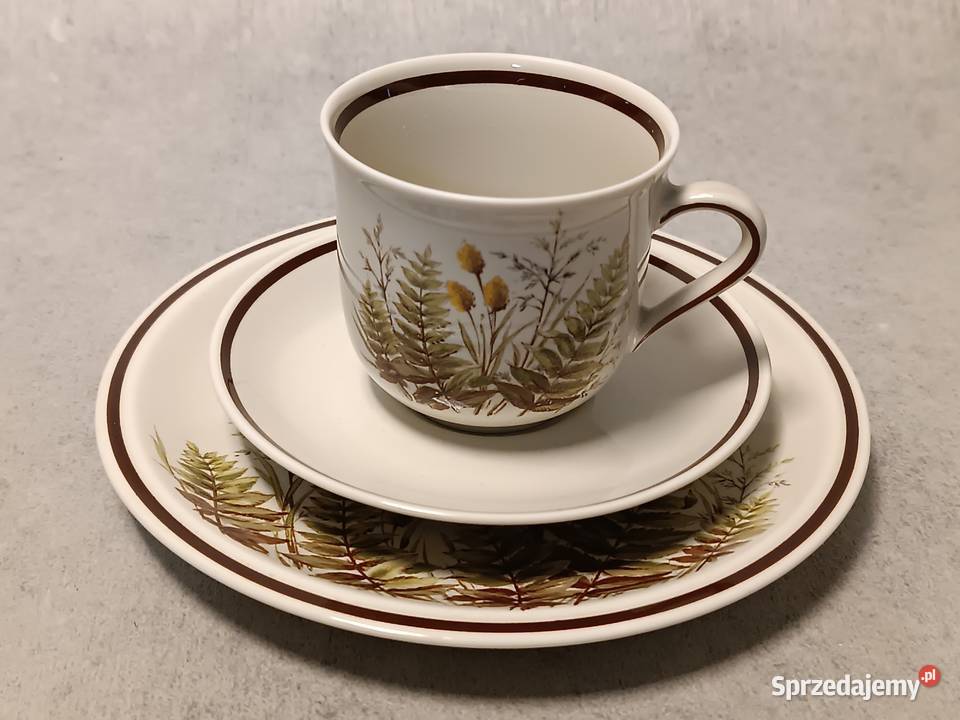 WINTERLING Filiżanka Rslau Paproć Bavaria Trio