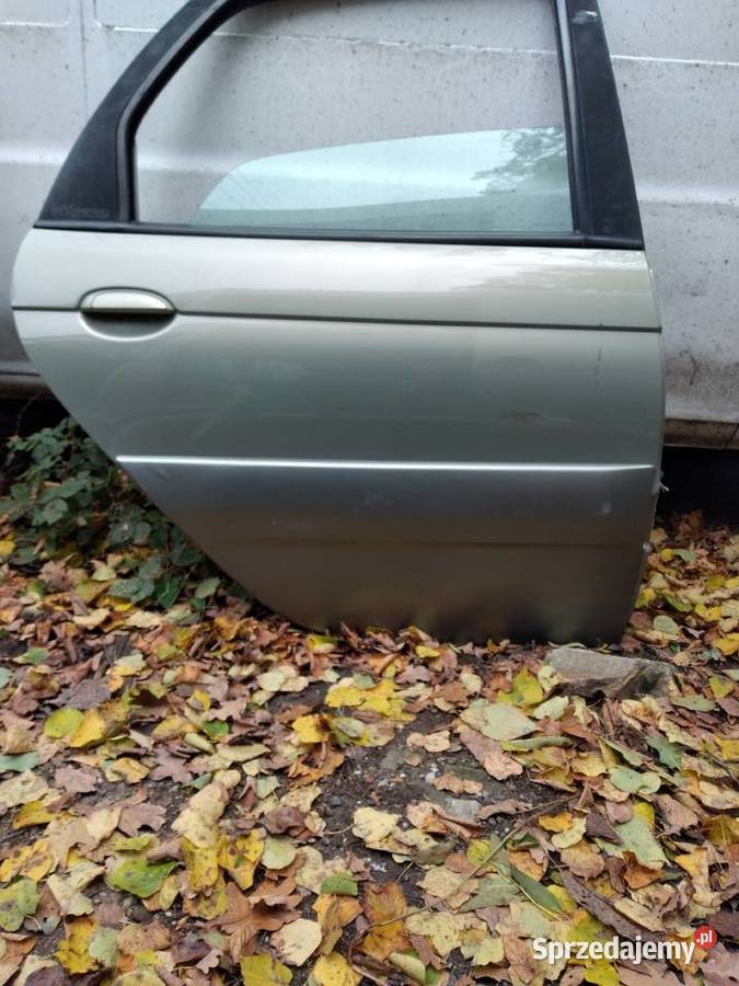RENAULT MEGANE SCENIC RX4 DRZWI PRAWY TYŁ części blacharskie Mietków