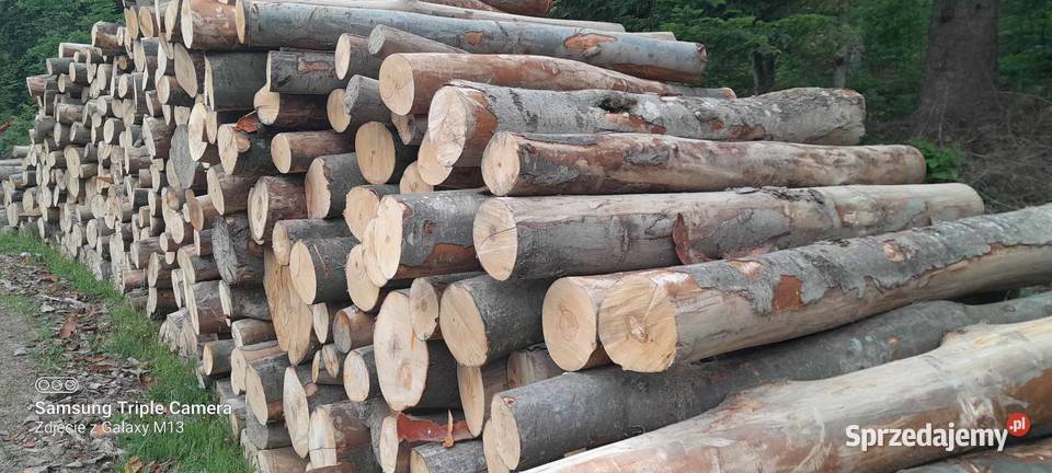 Drewno opałowe BUK GRAB drewno kominkowe drewno