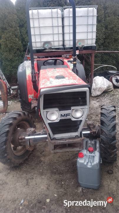 Massey Ferguson 174F Ferguson lubelskie