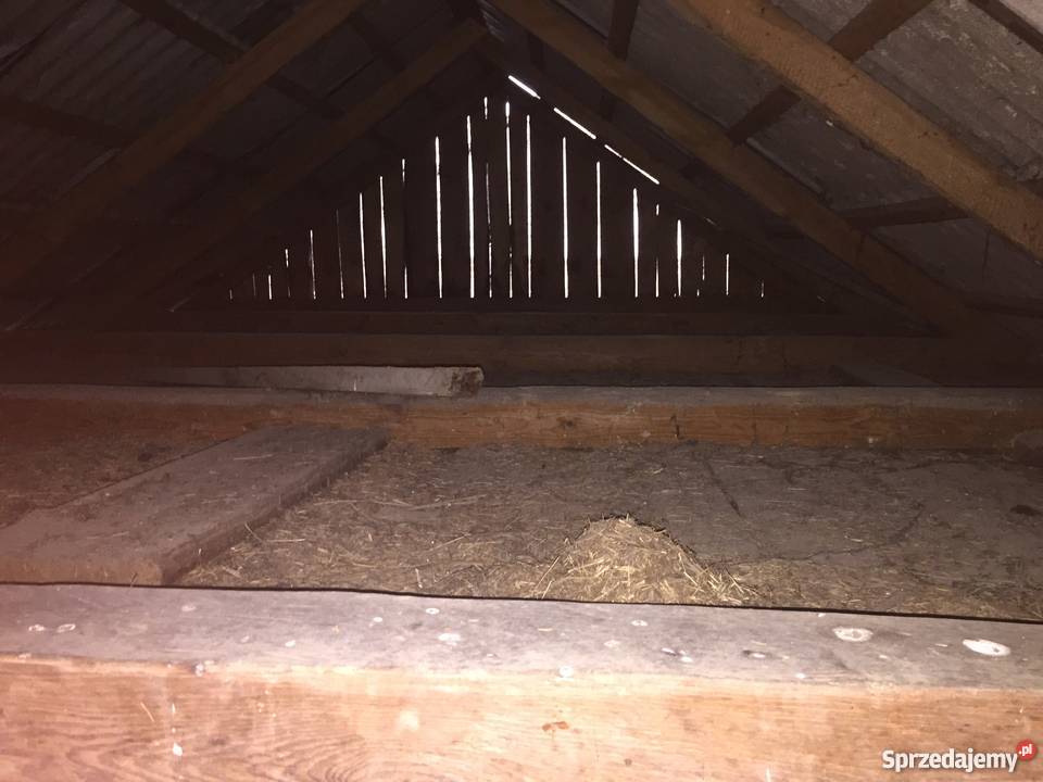 Spichlerz 4 na 5m z bali sosnowych lubelskie Wysokie sprzedam