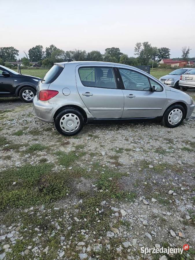 Peugeot 307 nieuszkodzony Bukowice